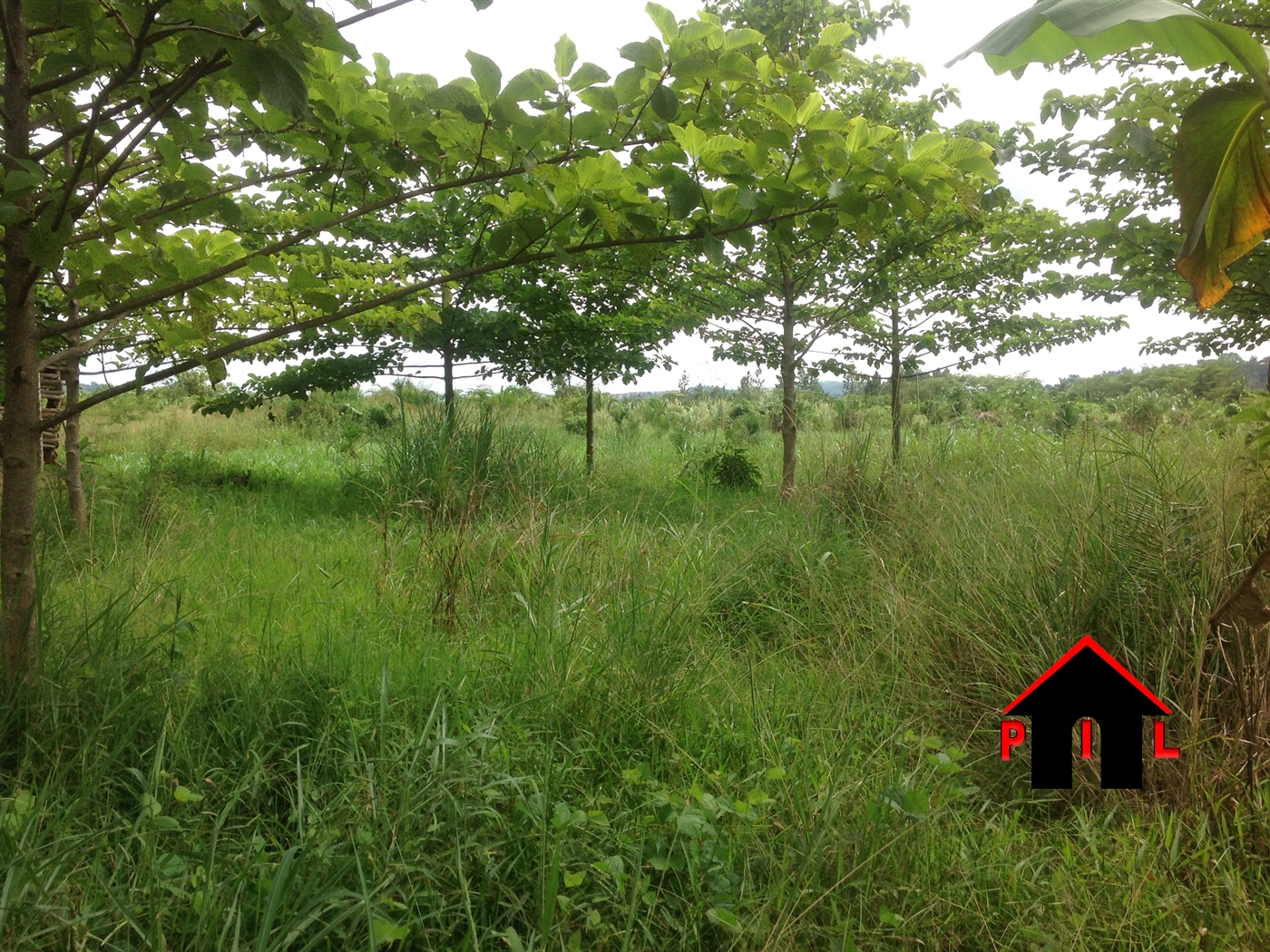 Residential Land for sale in Kalambi Wakiso