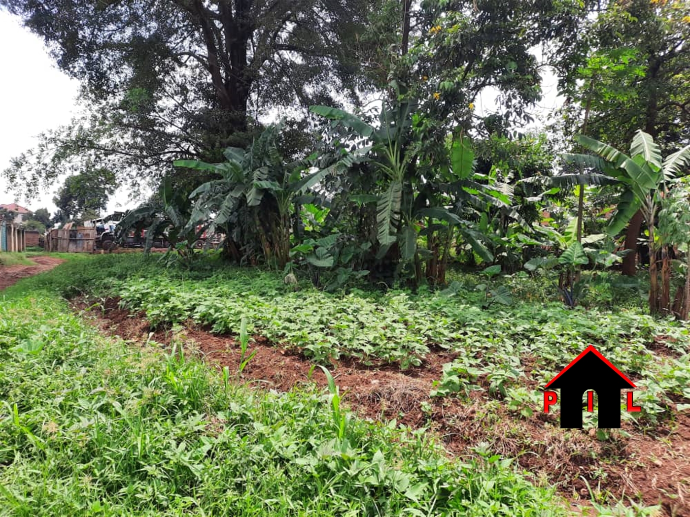 Agricultural Land for sale in Nakirebe Masaka