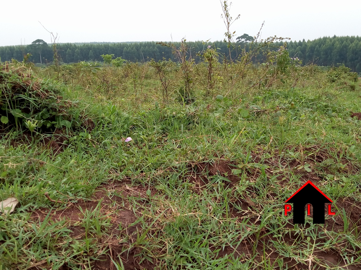 Agricultural Land for sale in Gombe Mpigi