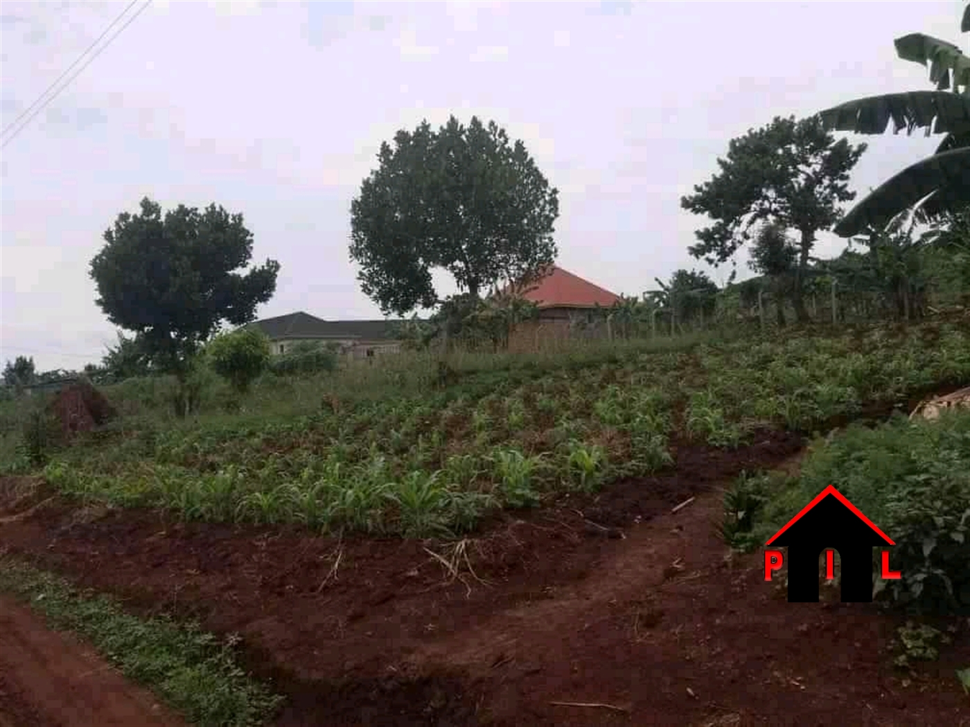 Residential Land for sale in Namusela Wakiso