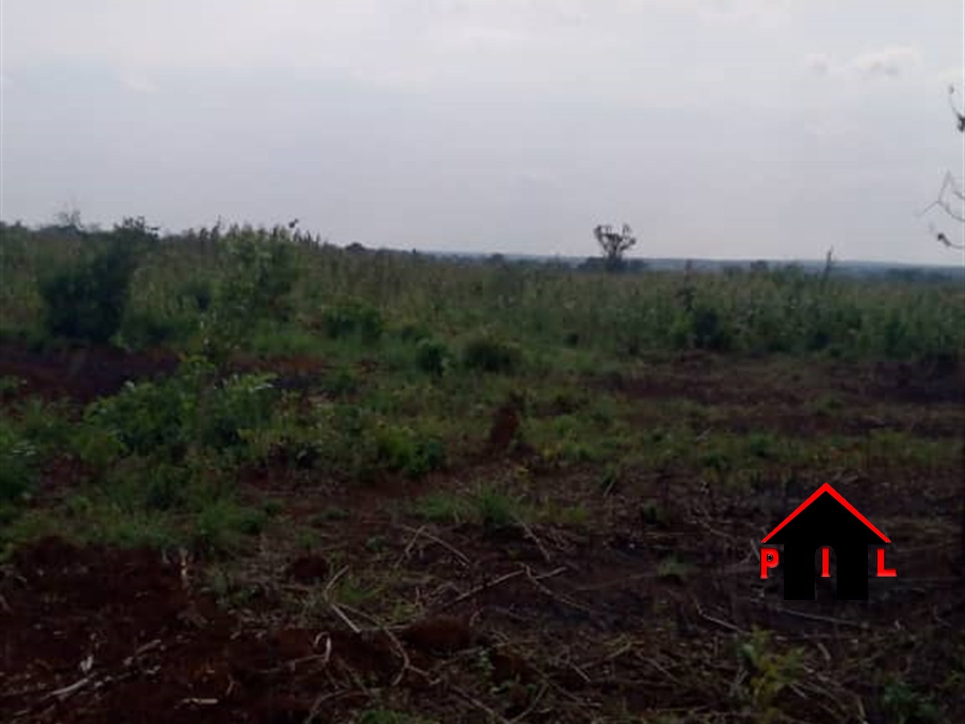 Agricultural Land for sale in Bukuya Mubende