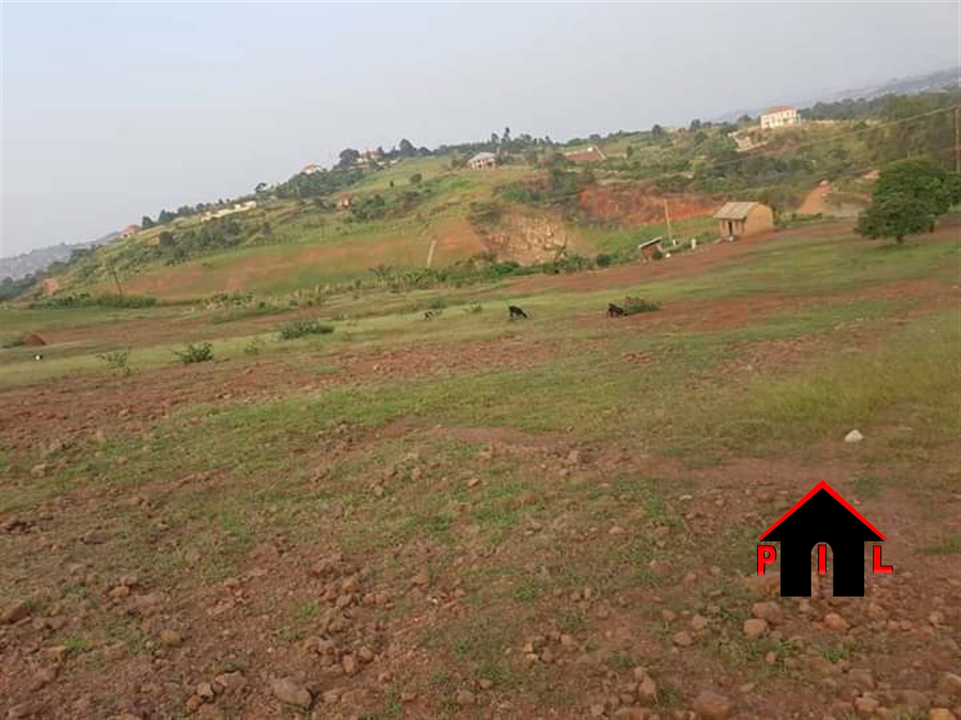 Agricultural Land for sale in Lukaaya Masaka