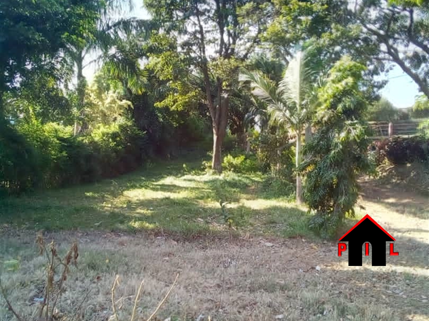 Agricultural Land for sale in Ziloobwe Luweero