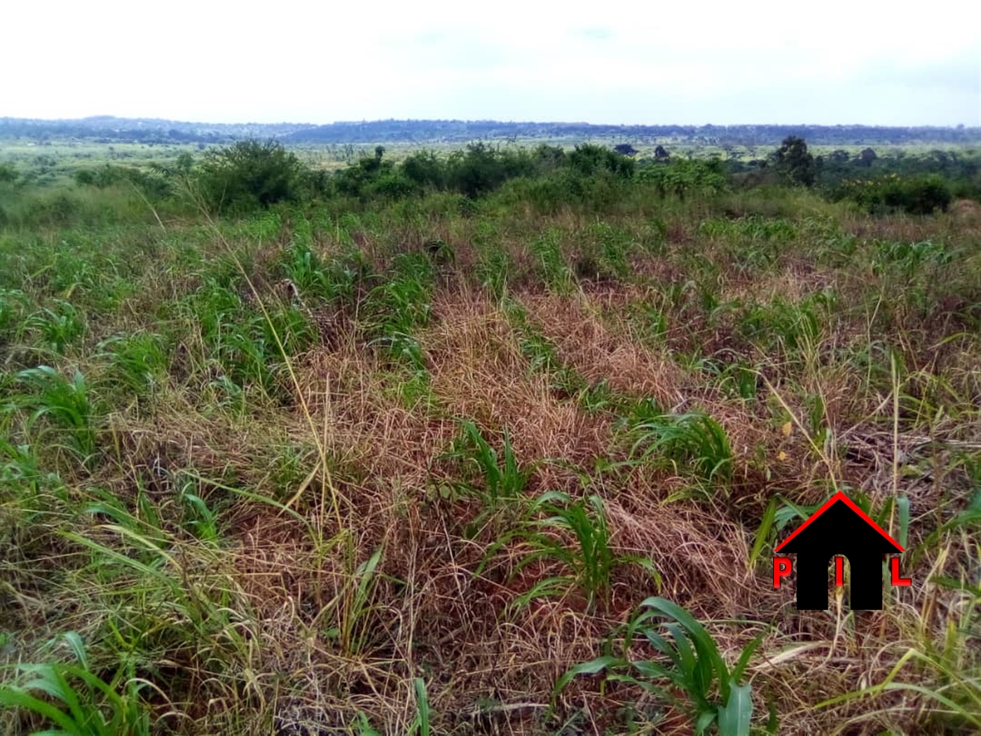 Agricultural Land for sale in Busukuma Wakiso