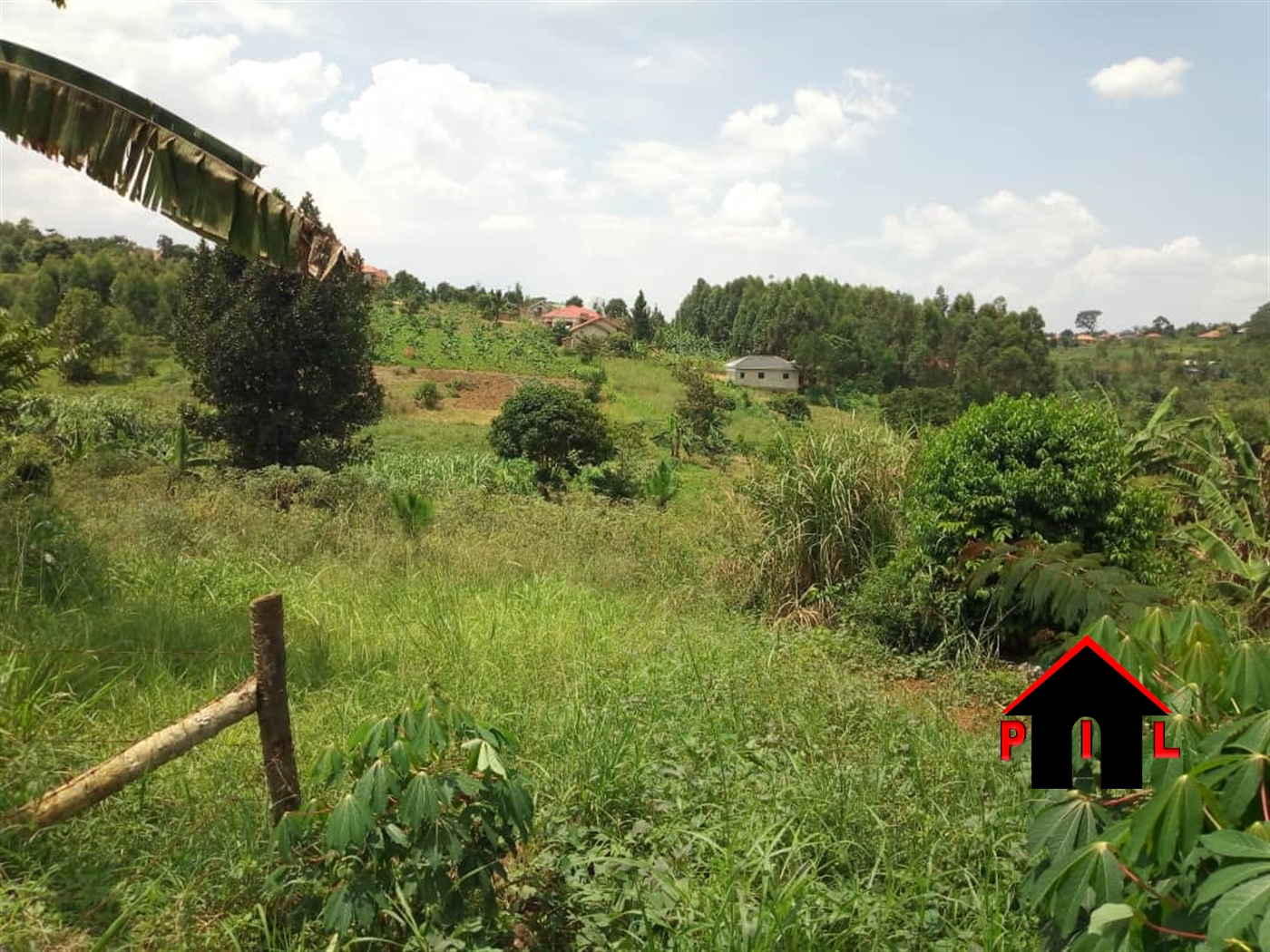 Residential Land for sale in Busukuma Wakiso