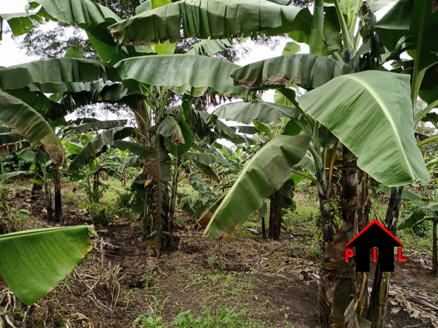 Agricultural Land for sale in Matugga Wakiso