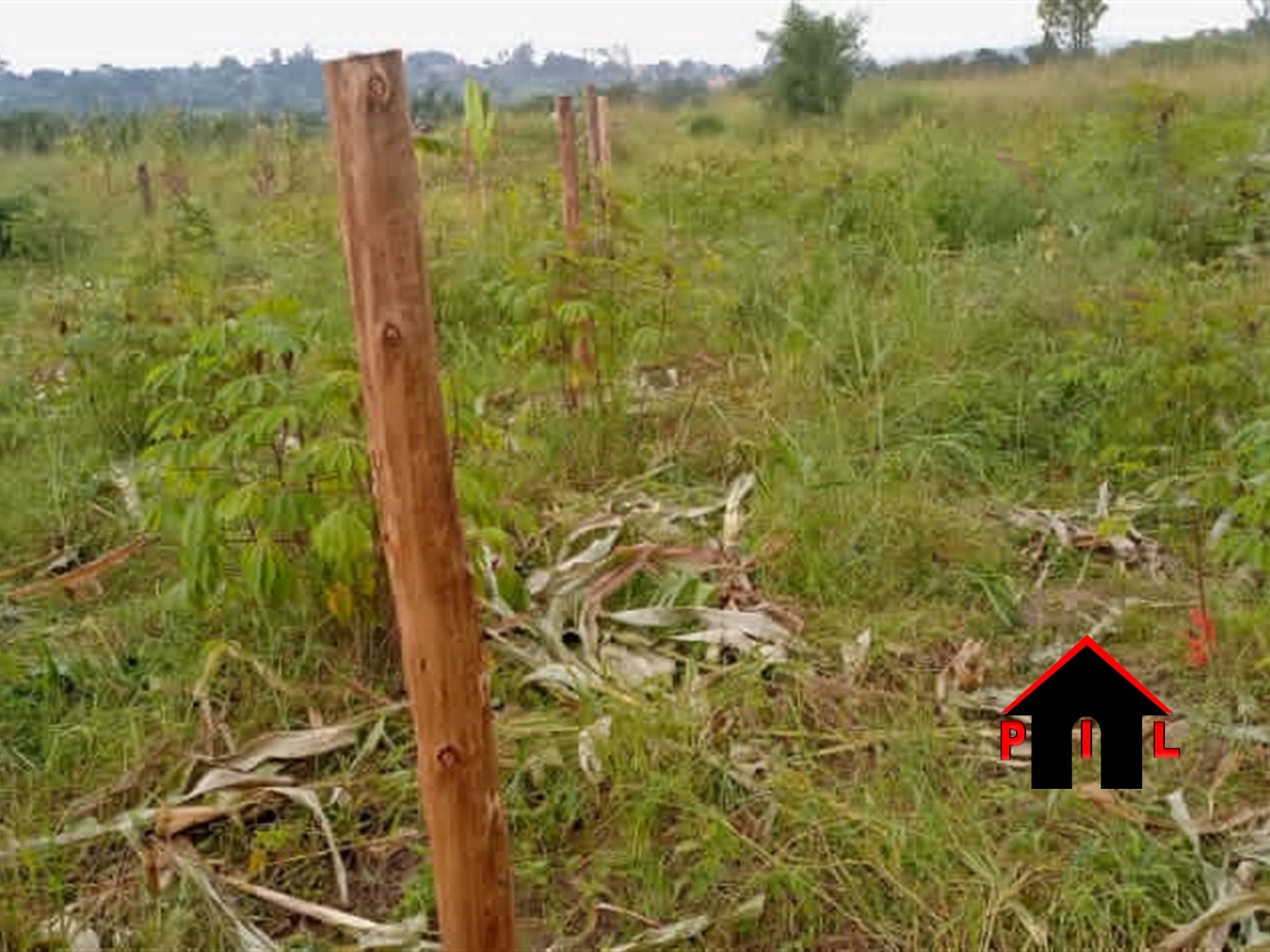 Residential Land for sale in Matugga Wakiso