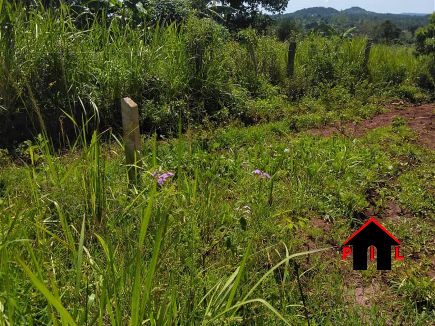 Agricultural Land for sale in Busiika Luweero