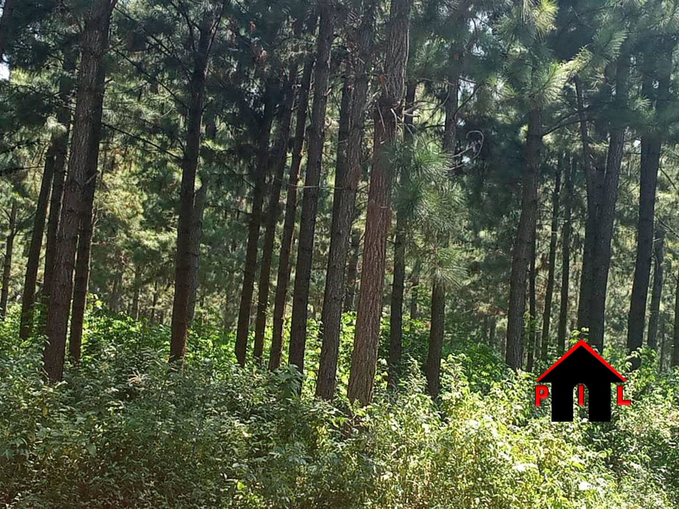 Agricultural Land for sale in Luwuka Jinja