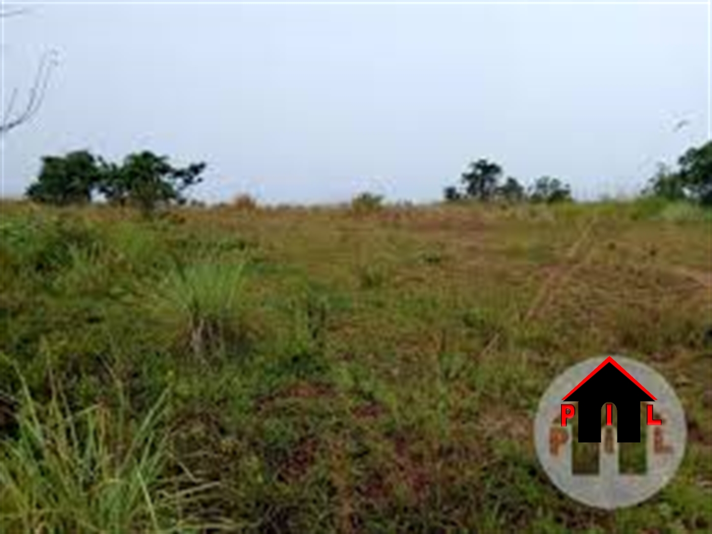 Agricultural Land for sale in Busiika Luweero