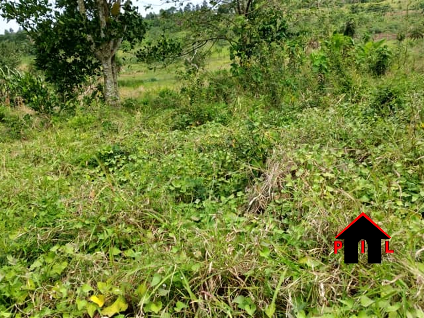 Agricultural Land for sale in Mpoma Mukono