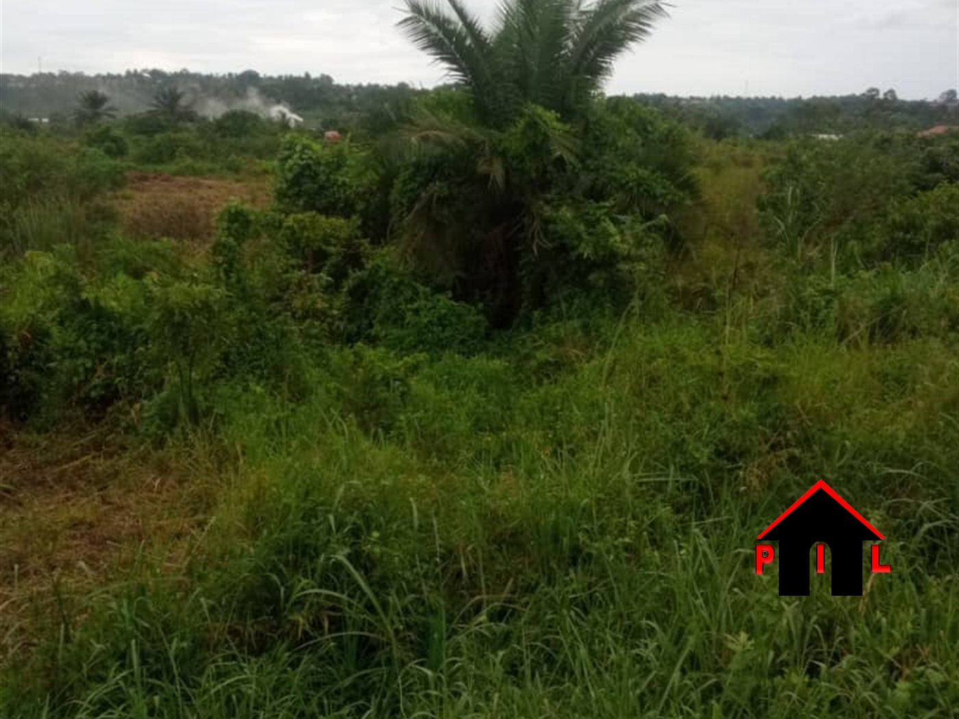 Agricultural Land for sale in Namawojja Luweero