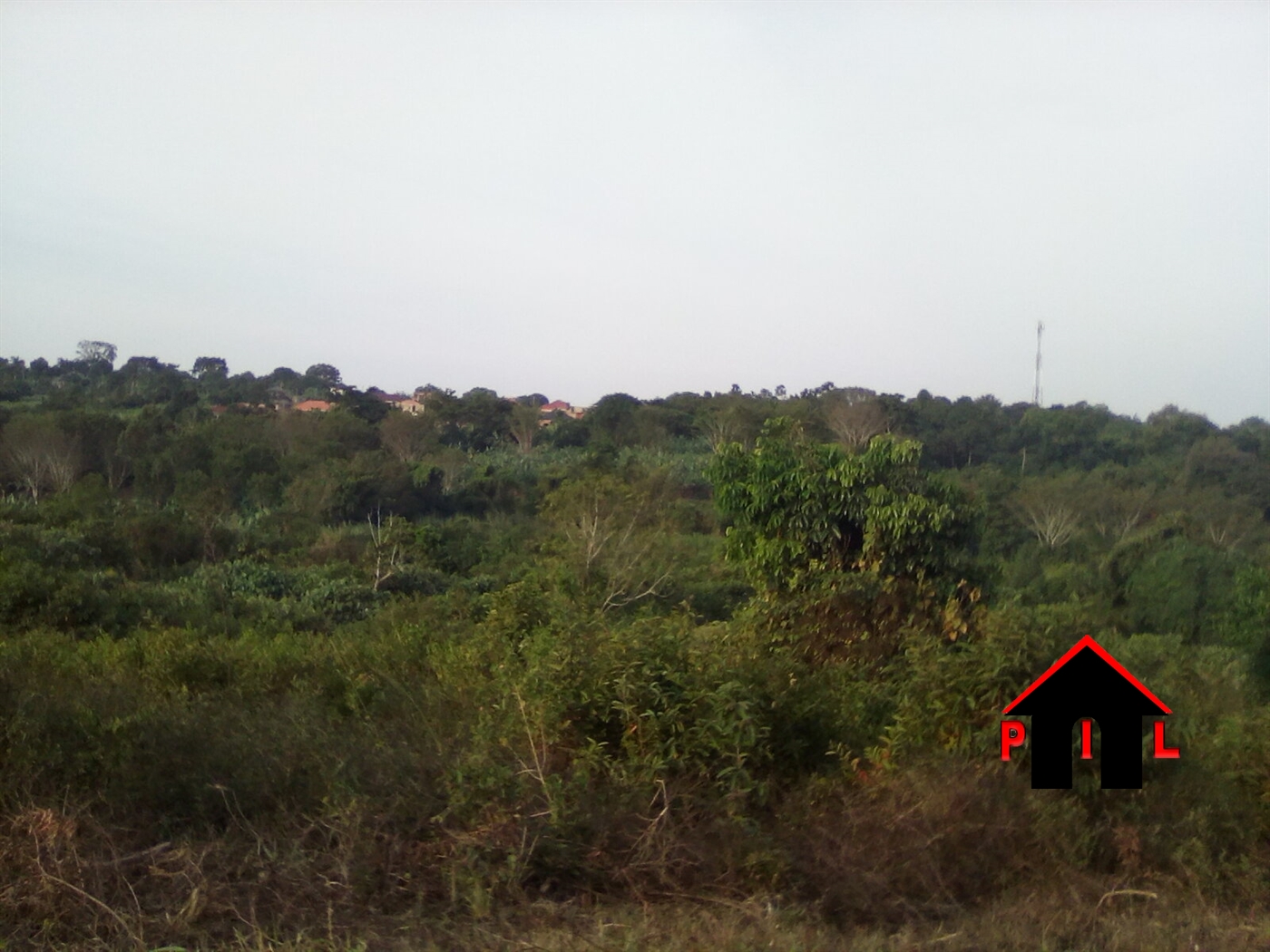 Agricultural Land for sale in Nakassajja Wakiso