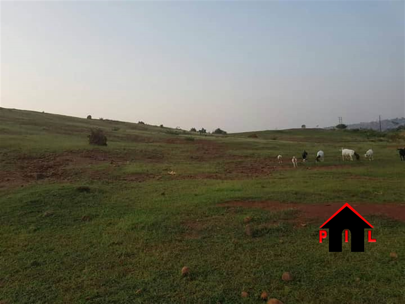 Agricultural Land for sale in Bamunaanika Luweero