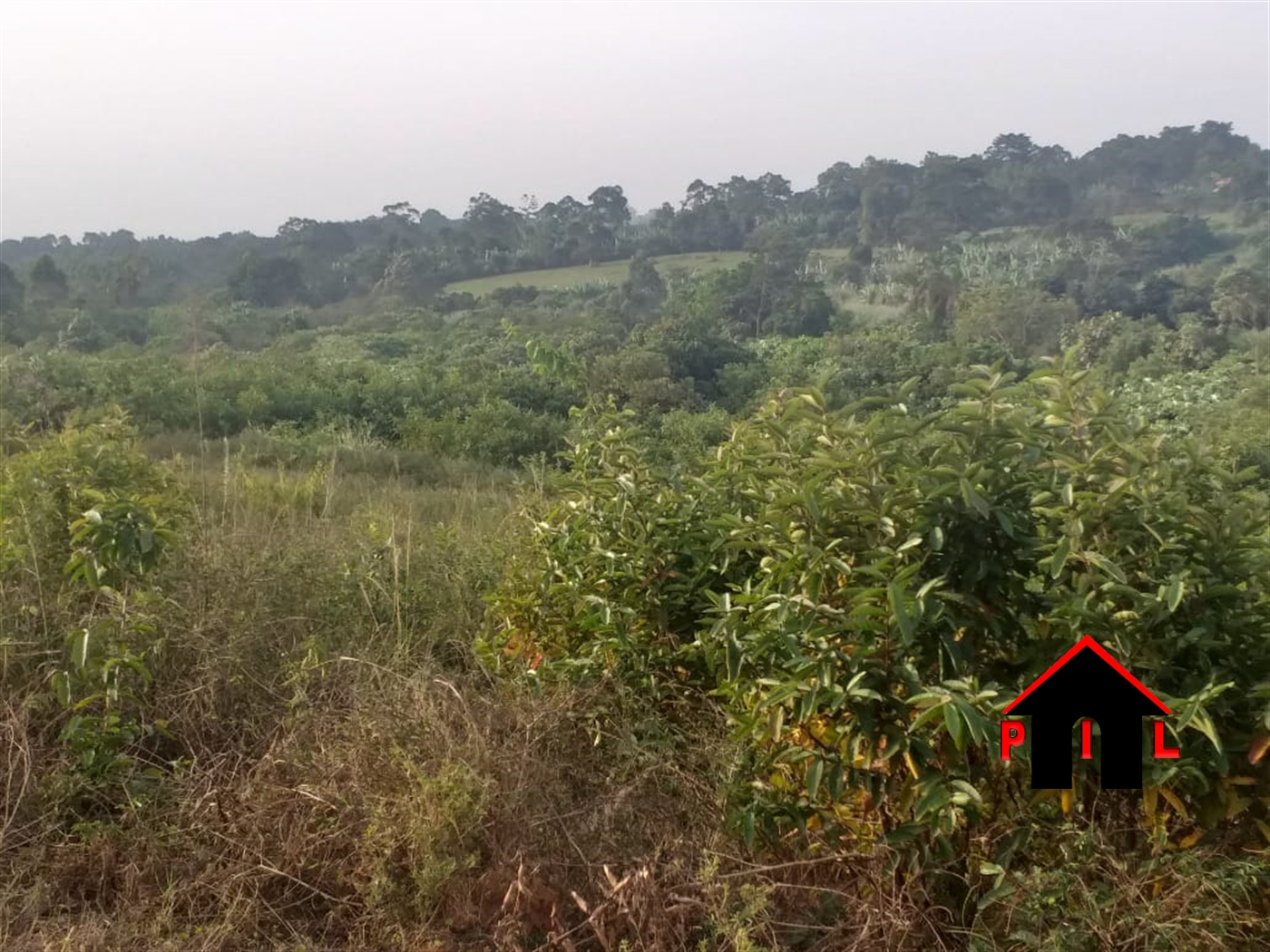 Commercial Land for sale in Kyanja Kampala