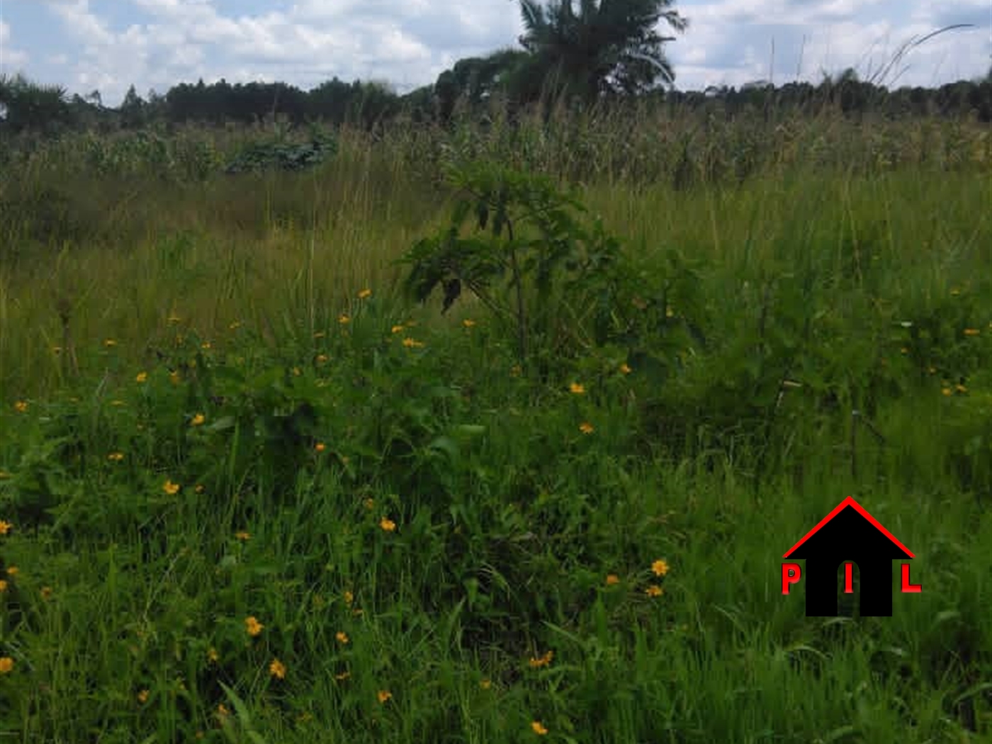 Agricultural Land for sale in Namulonge Wakiso