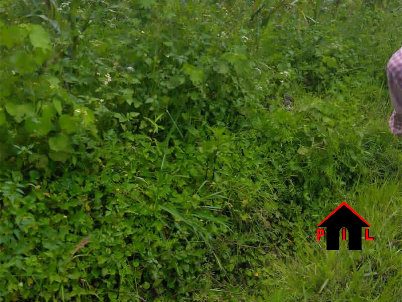 Agricultural Land for sale in Namulonge Wakiso