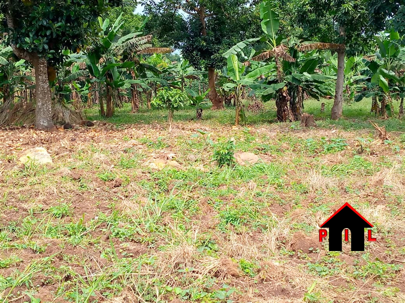 Agricultural Land for sale in Bombo Wakiso