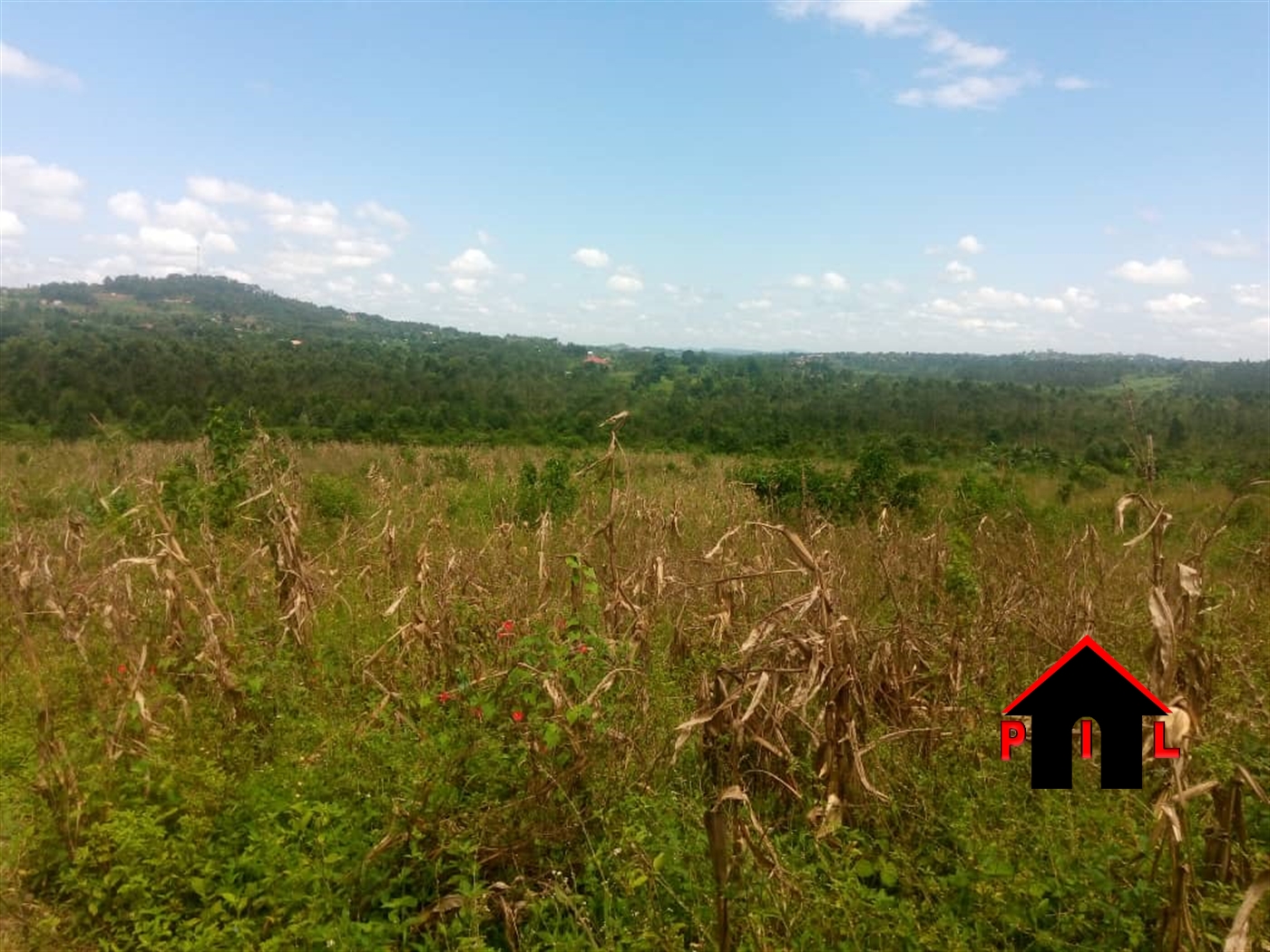 Agricultural Land for sale in Nakassajja Wakiso