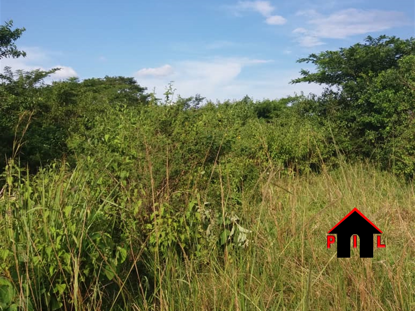 Agricultural Land for sale in Nakassajja Wakiso