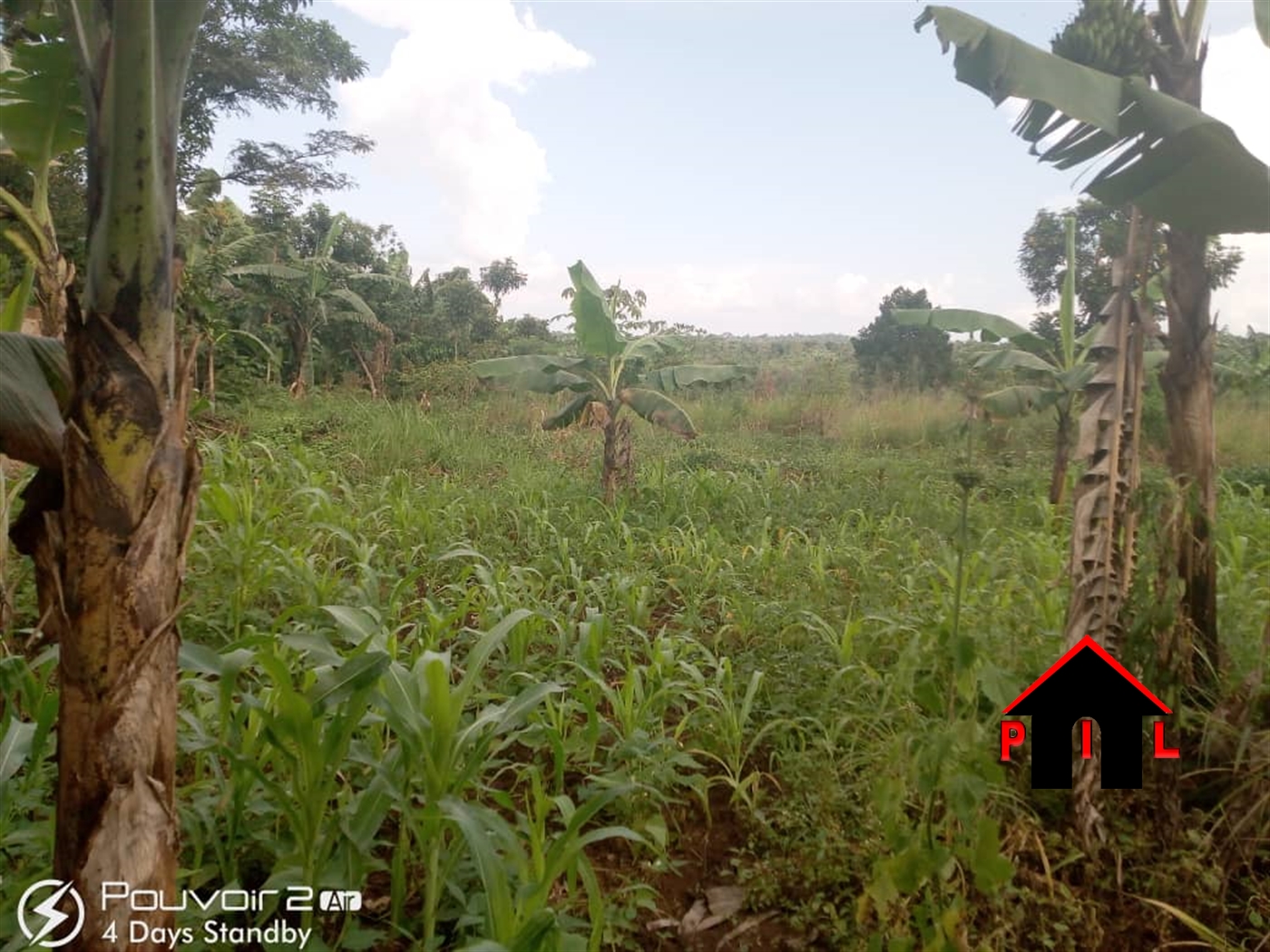 Agricultural Land for sale in Busiika Luweero