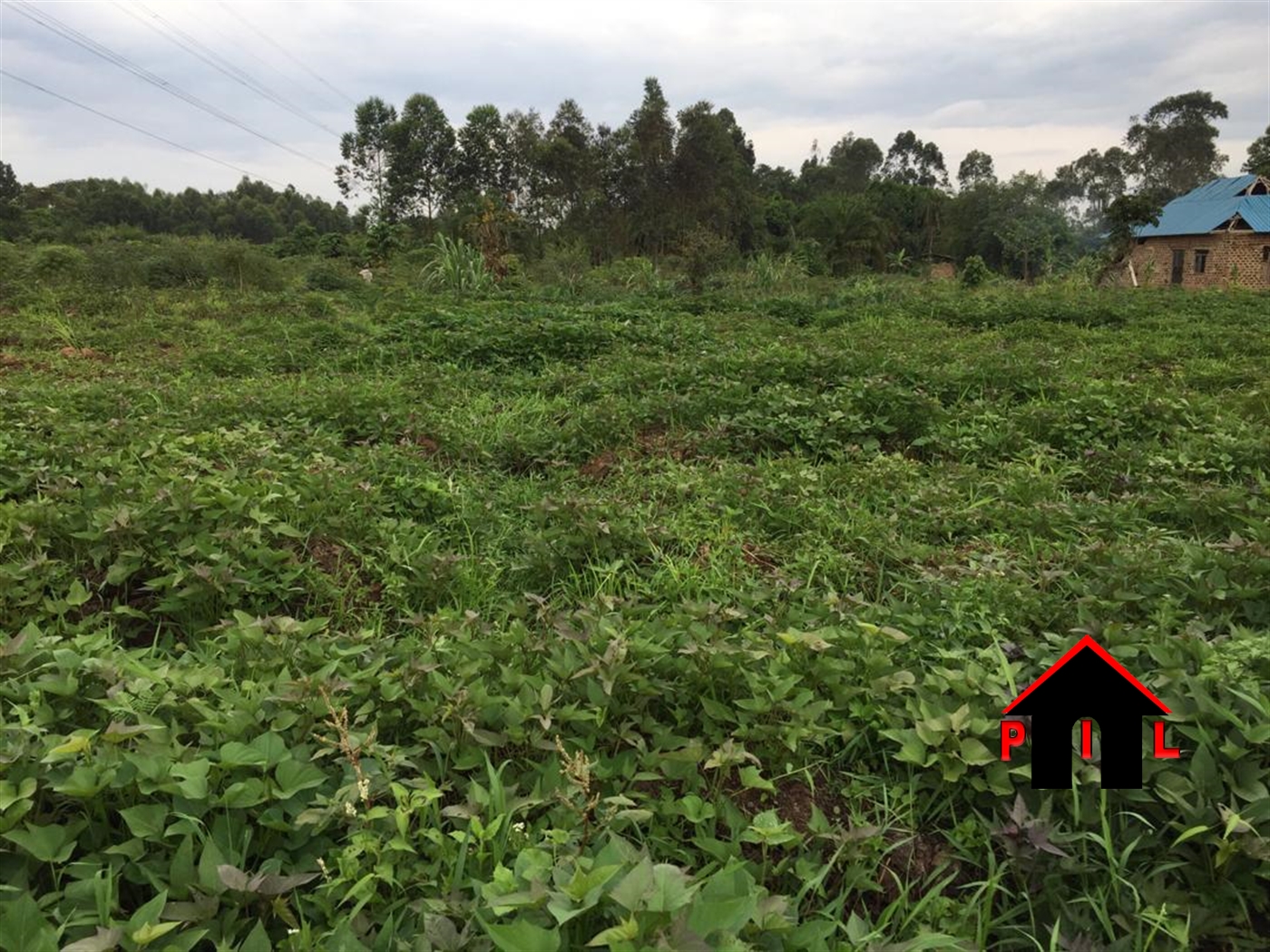 Agricultural Land for sale in Busiika Luweero