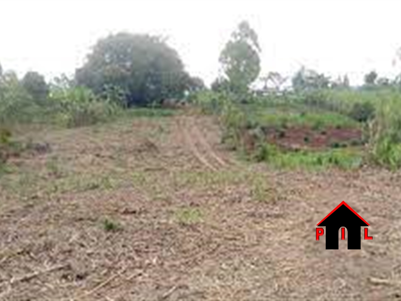 Agricultural Land for sale in Bukandula Gomba