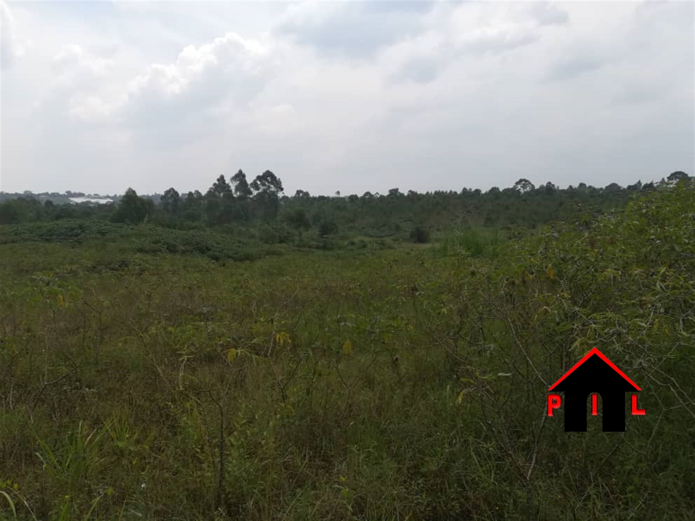 Agricultural Land for sale in Bukanga Masaka