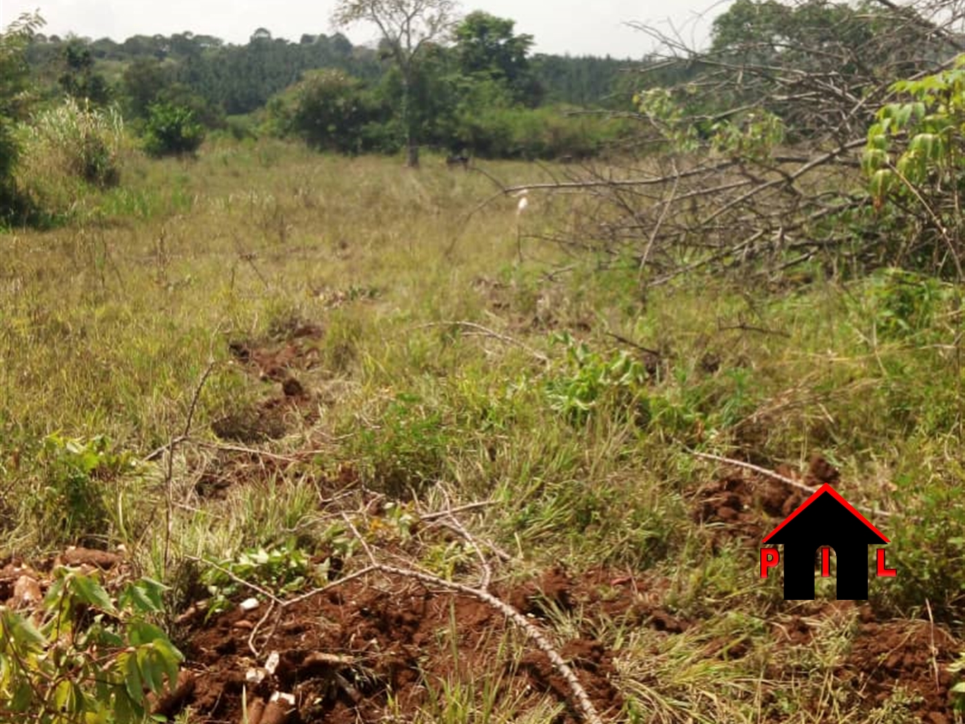 Agricultural Land for sale in Namumira Mukono