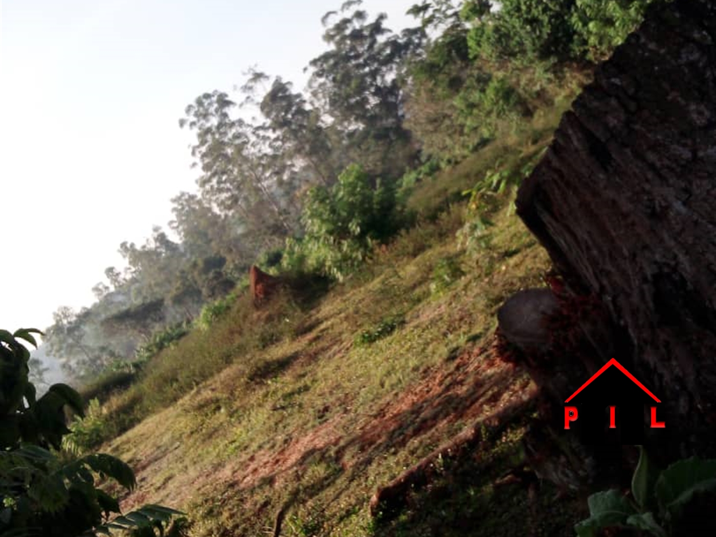 Agricultural Land for sale in Namumira Mukono