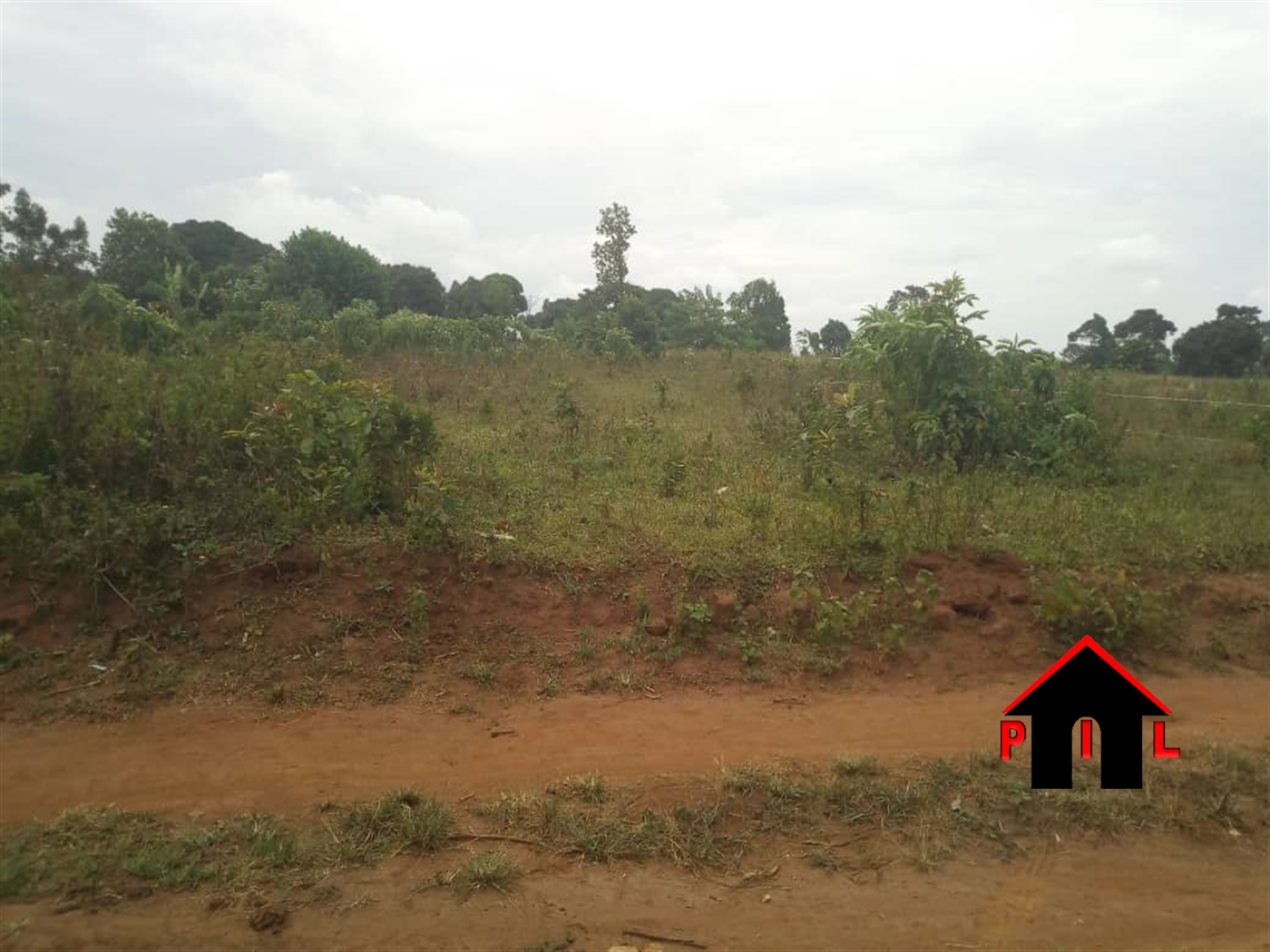 Agricultural Land for sale in Kikyuusa Luweero