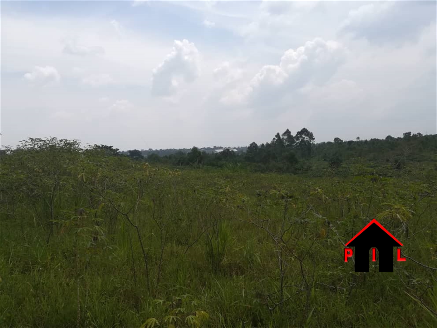 Agricultural Land for sale in Lukiizi Luwero