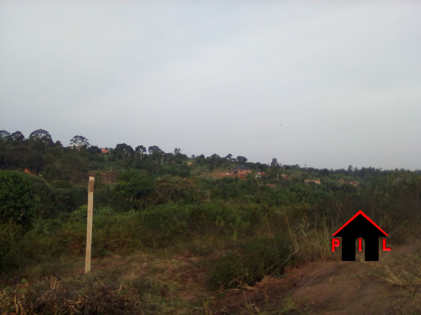 Agricultural Land for sale in Kaliisizo Masaka
