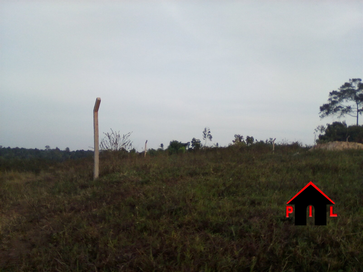 Agricultural Land for sale in Kaliisizo Masaka