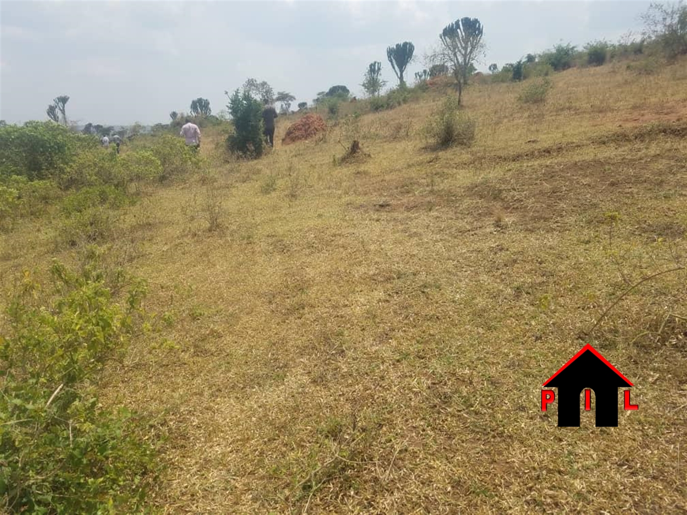 Agricultural Land for sale in Kigezi Gomba