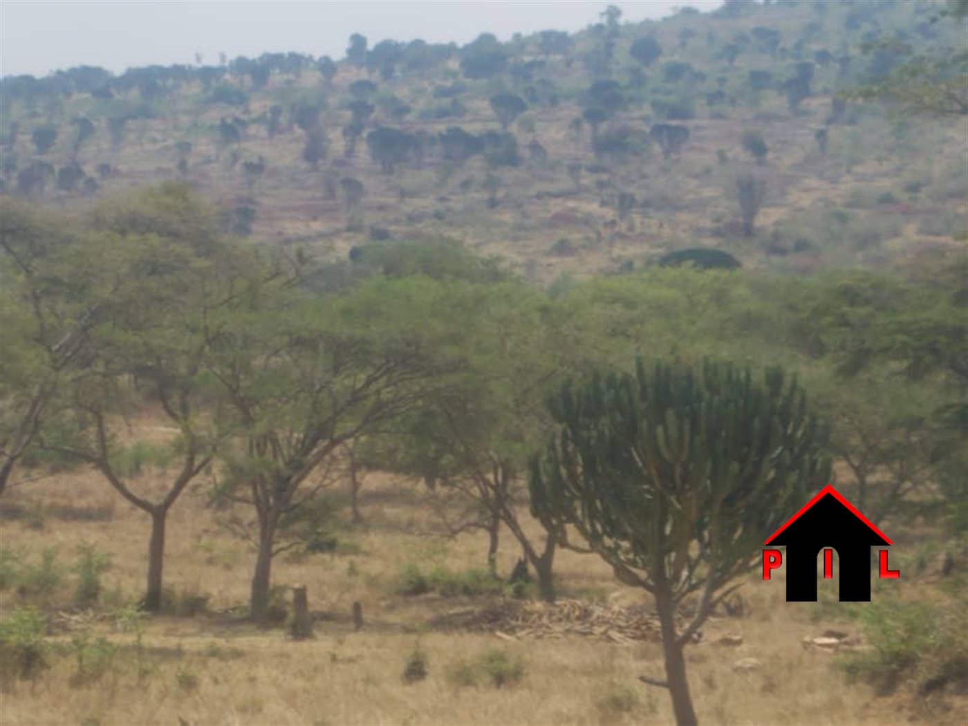 Agricultural Land for sale in Kigezi Gomba