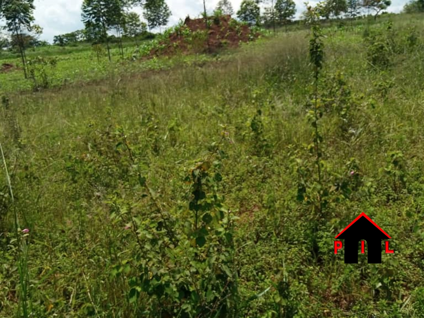 Agricultural Land for sale in Buvuma Kalangala