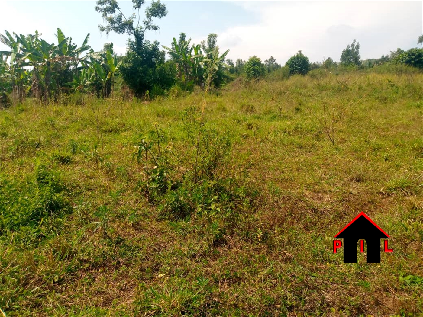 Residential Land for sale in Buddugala Mukono