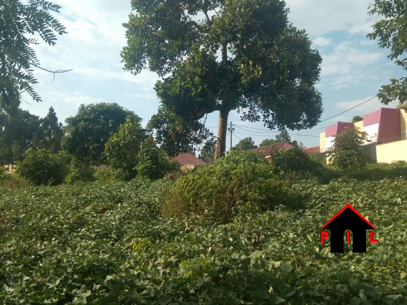 Residential Land for sale in Nabuti Mukono