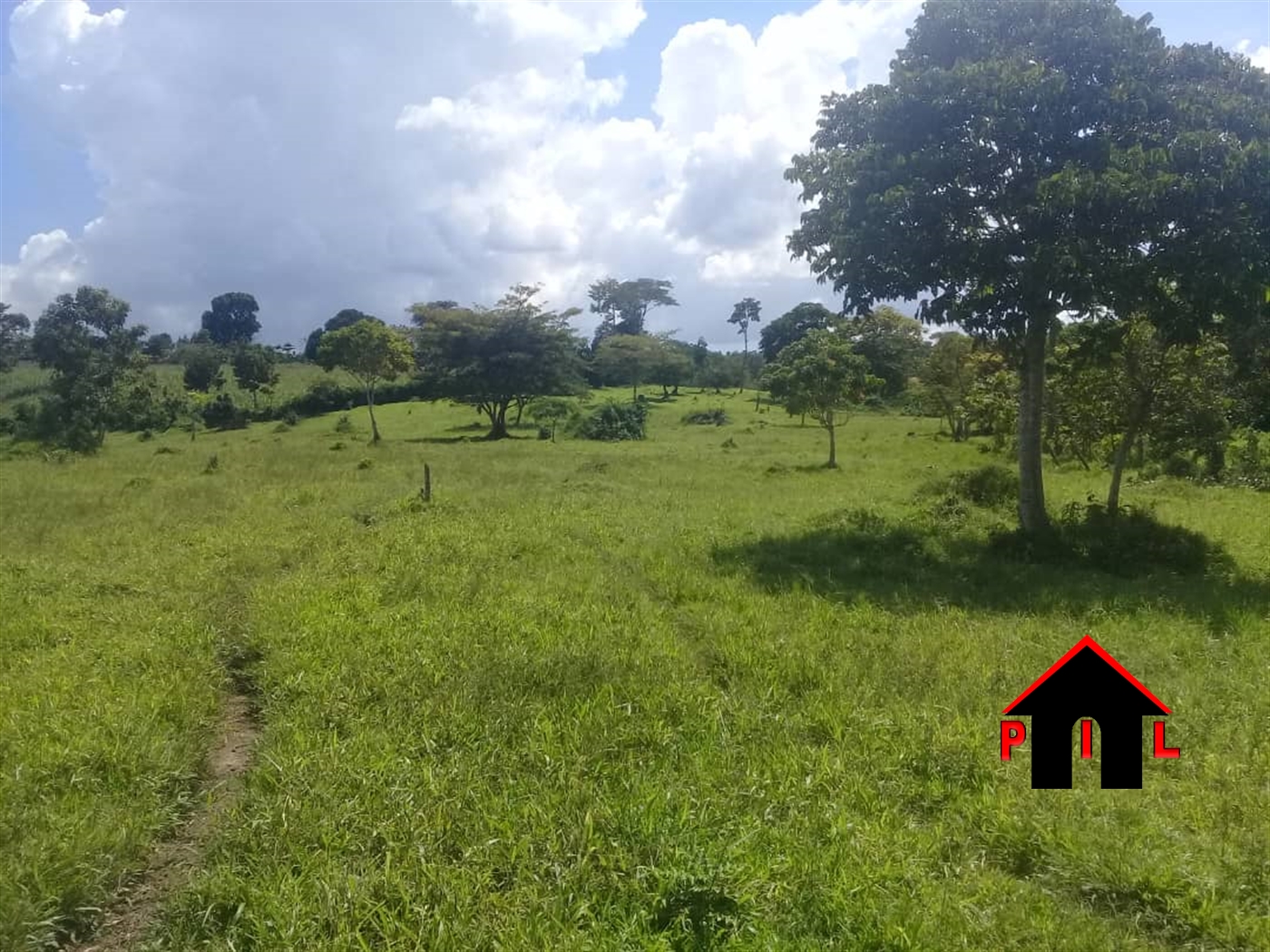 Residential Land for sale in Bukeelele Mukono