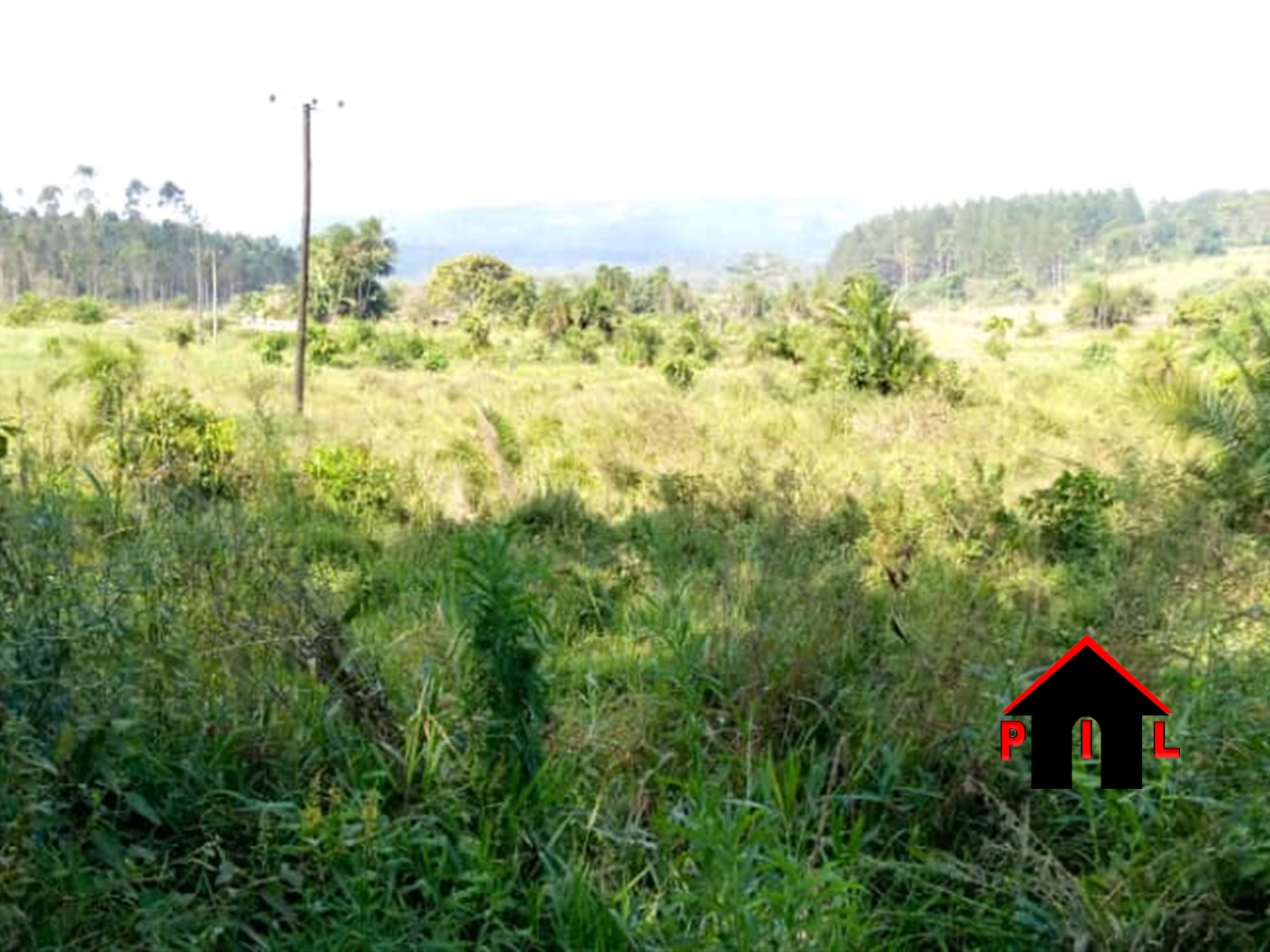 Agricultural Land for sale in Nangwa Mukono