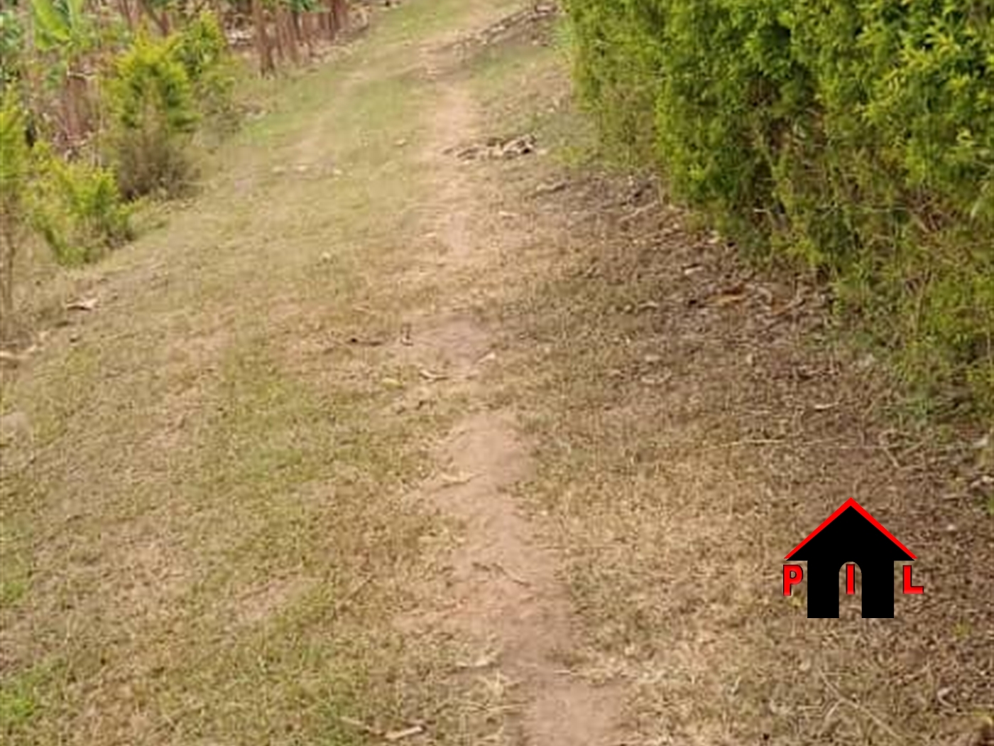 Agricultural Land for sale in Mende Wakiso