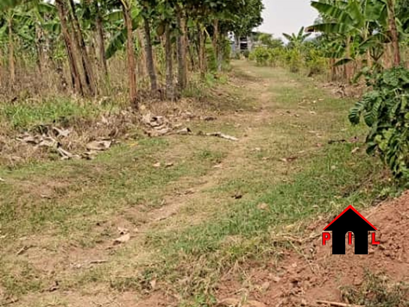 Agricultural Land for sale in Mende Wakiso