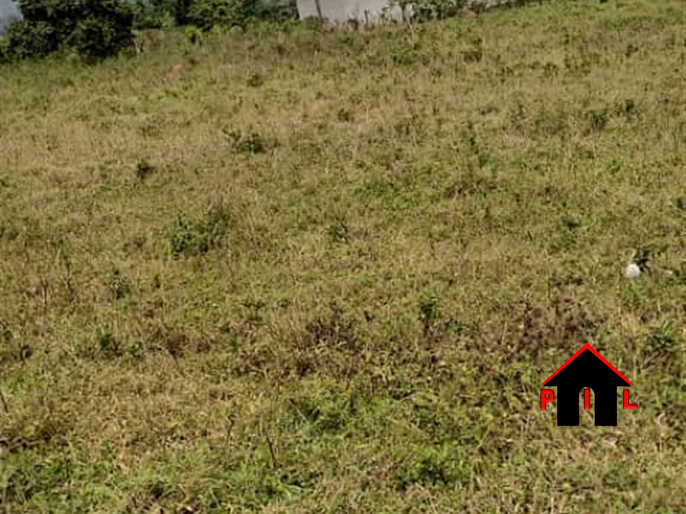 Agricultural Land for sale in Mende Wakiso