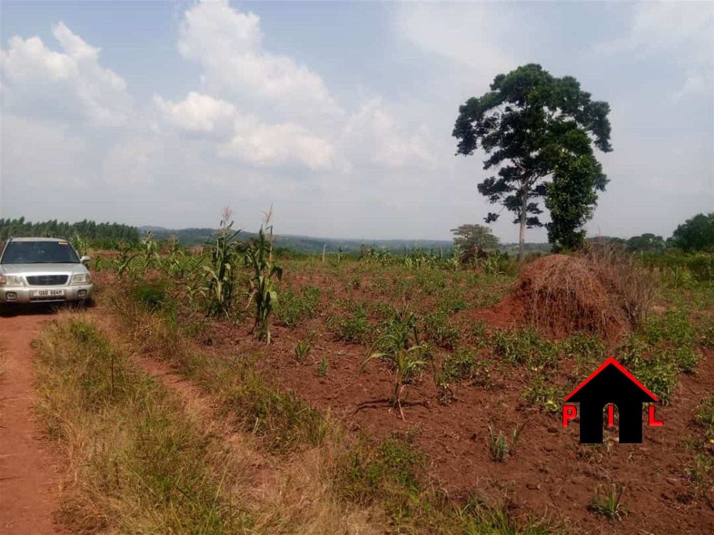 Agricultural Land for sale in Gayaza Wakiso