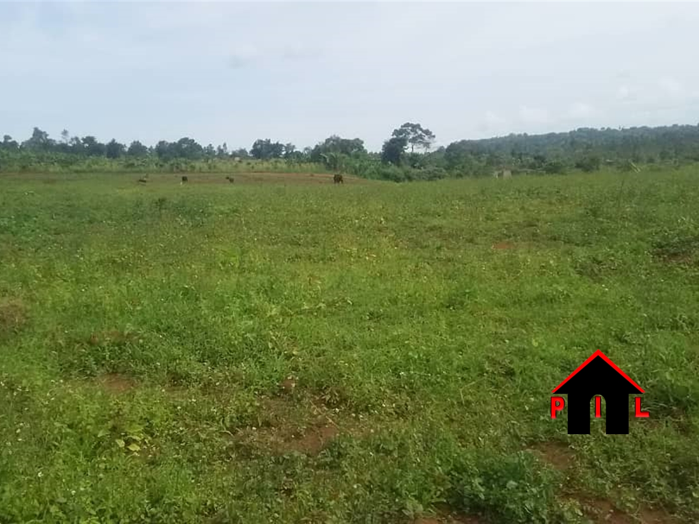 Residential Land for sale in Railway Mukono