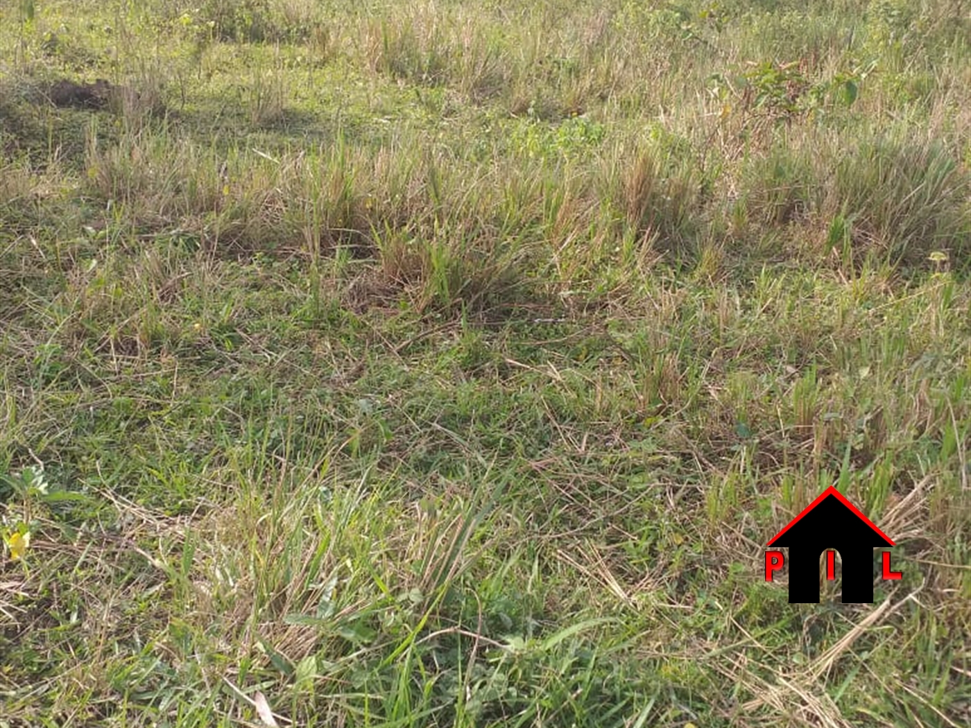 Residential Land for sale in Namayiba Mukono