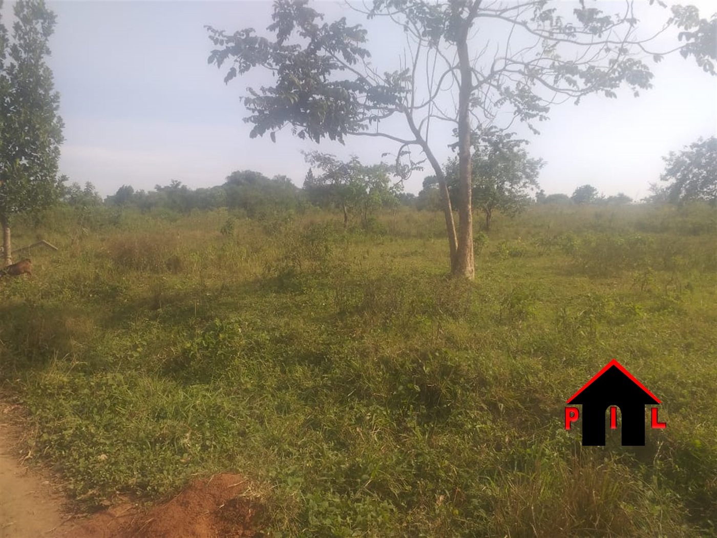 Residential Land for sale in Buddugala Mukono