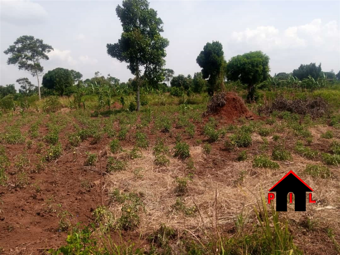 Agricultural Land for sale in Kamengo Mpigi