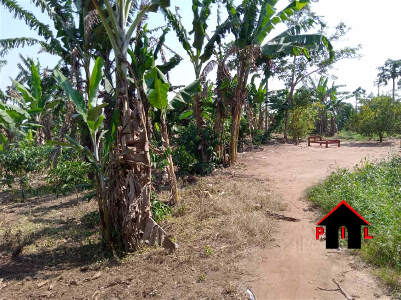 Agricultural Land for sale in Kyetume Luweero